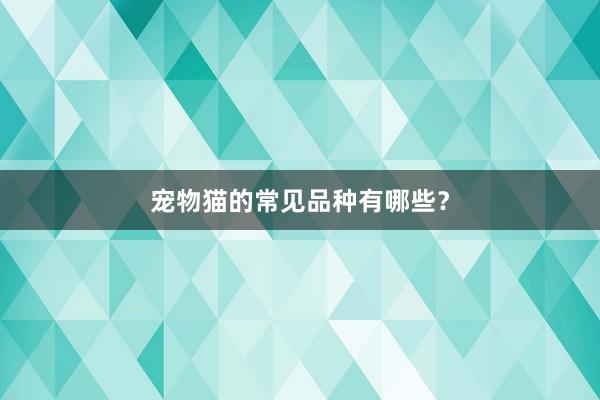 宠物猫的常见品种有哪些?