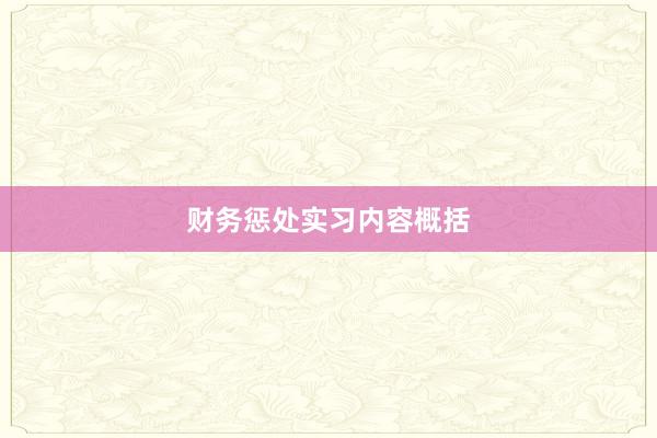 财务惩处实习内容概括